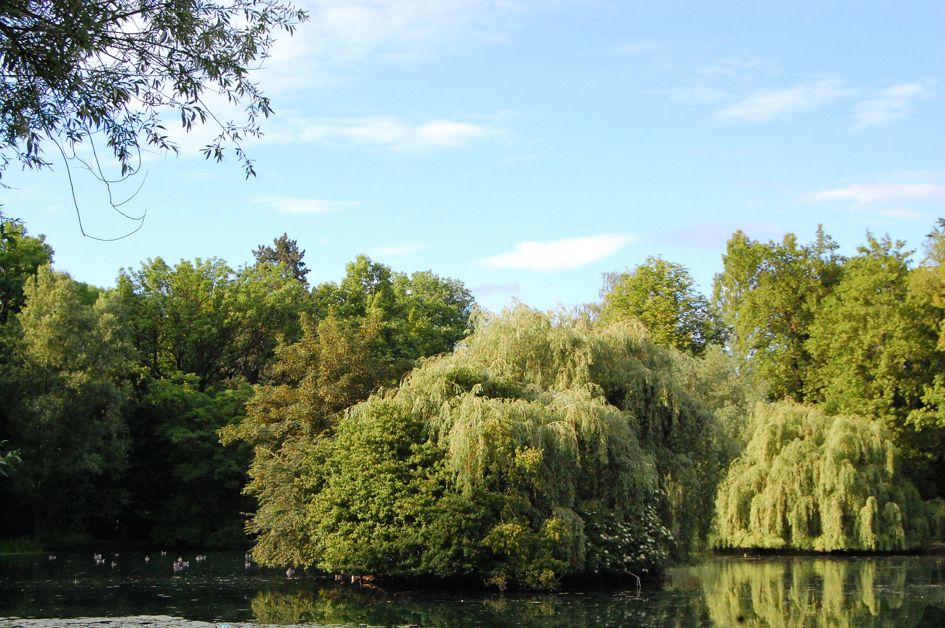 DSC_0010.JPG
